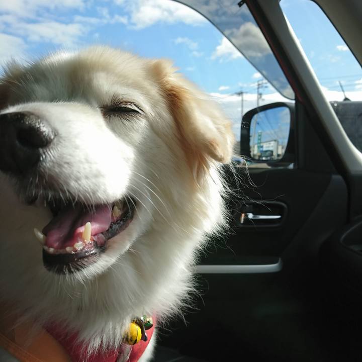 02b6e42d 291d 49ba 824d 6c572d01d345 1638740303977