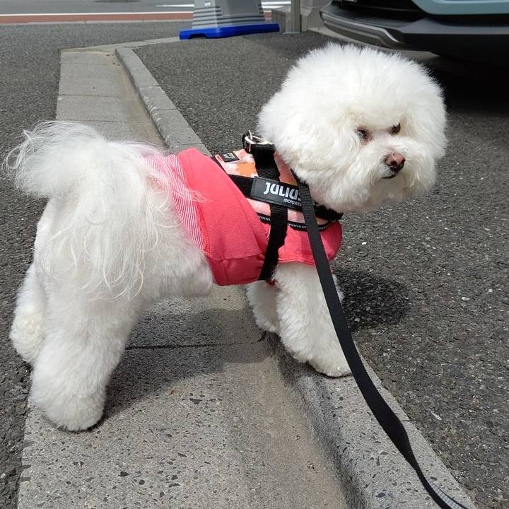 02b70d99 335f 4897 8efa 334aad42f52b 1619581670749