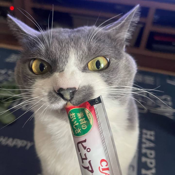 02b72919 5065 408c abeb dc0024d74b4a 1712733115833