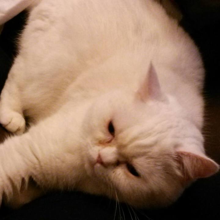 02b73e8f 8ae5 49b7 8b18 1be7699c5b7e 1522144795137