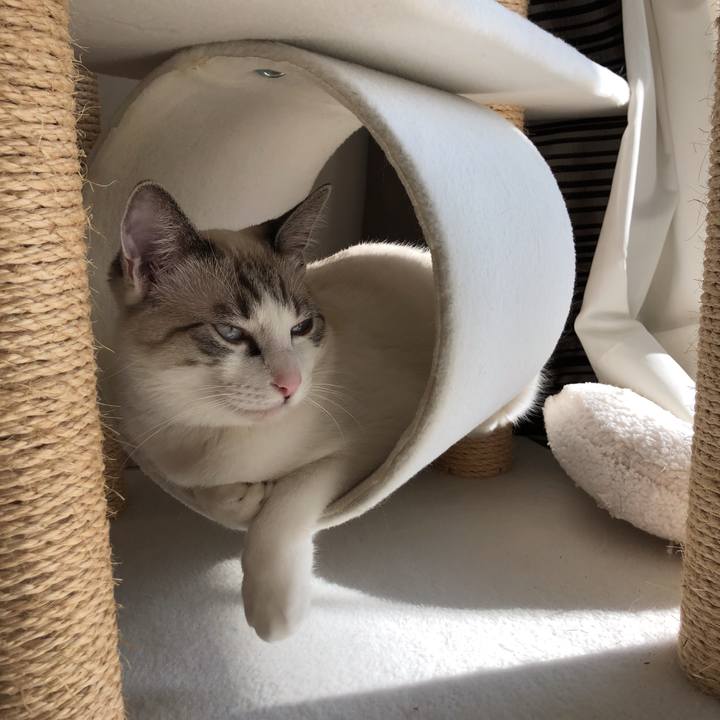 02b74cee cfaa 48bb 9c96 739634530b18 1520145556963