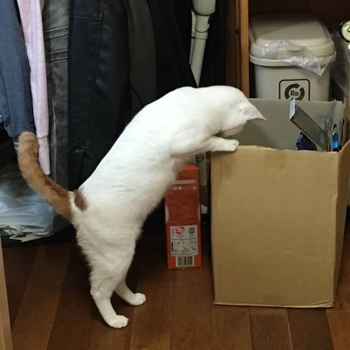 02b754b2 0a44 4291 b6d6 ff116237b992 1522898387347