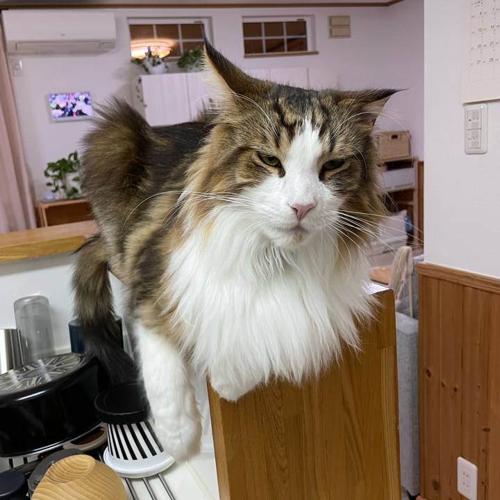 02b767f3 80ab 4ff2 8cf0 6786290823e1 1668108946735