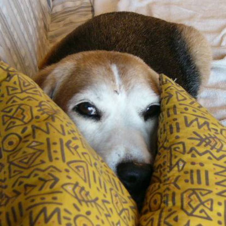 02b76ce4 49aa 4723 a7aa 54fc7f5f9eb6 1652575698707