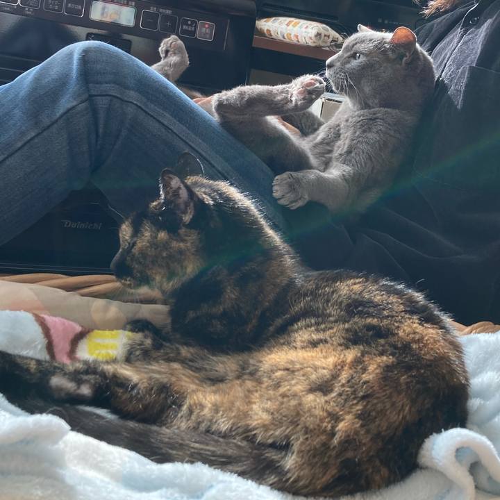 02b791ae 62e2 4618 b47b 68480aeff640 1611109776682