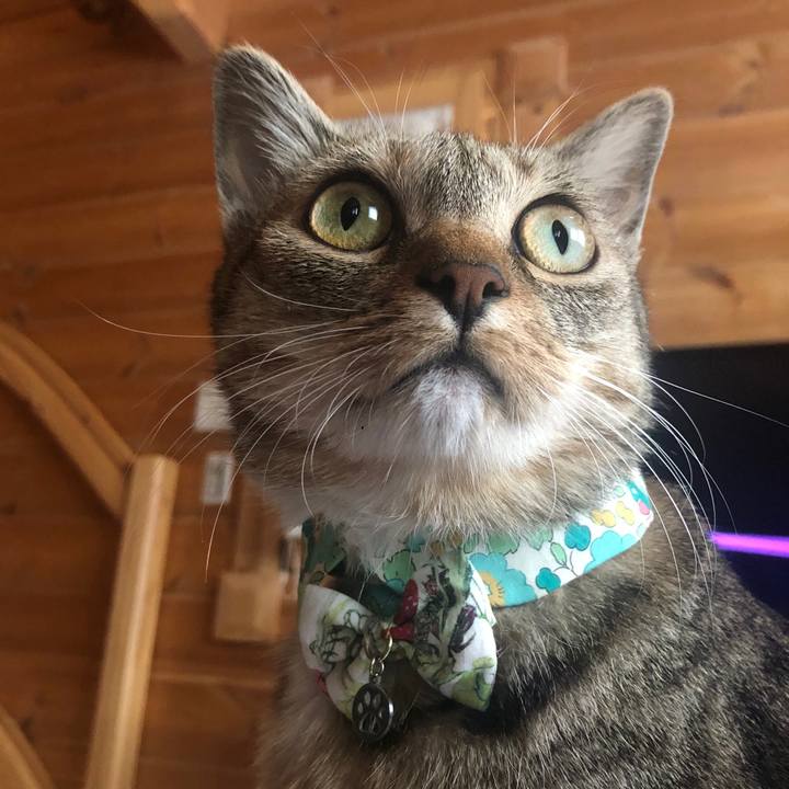 02b7b565 361c 4eeb a44f 75616d7ed801 1664707870962