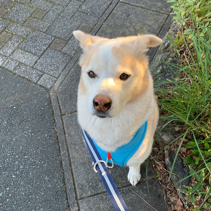 02b7bff9 cb21 4e62 8913 529c33cdaada 1670151439481