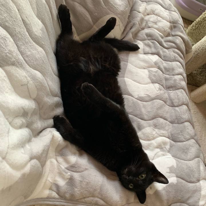 02b7de8d 56e8 4ab7 8b48 2412fab8623b 1550451786491