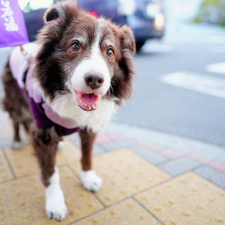 02b7f994 f340 4c29 813c cf4d8f325592 1773566066332