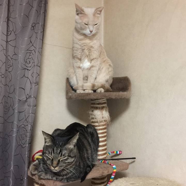 02b7ff81 896d 492b b1ae 1052dca7d6d7 1516795855328