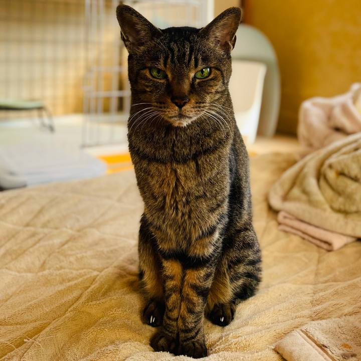 02b800f9 7f3b 49a2 8de0 c7b38bdbab61 1614217089200