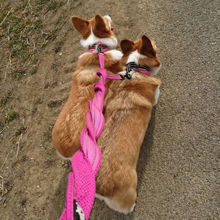 02b8279b ae38 4f12 a47d 495847533355 1548926176175