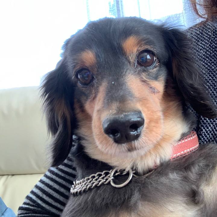 02b82f99 21ec 4f1e 9291 e06c94bfb3a1 1586644428992