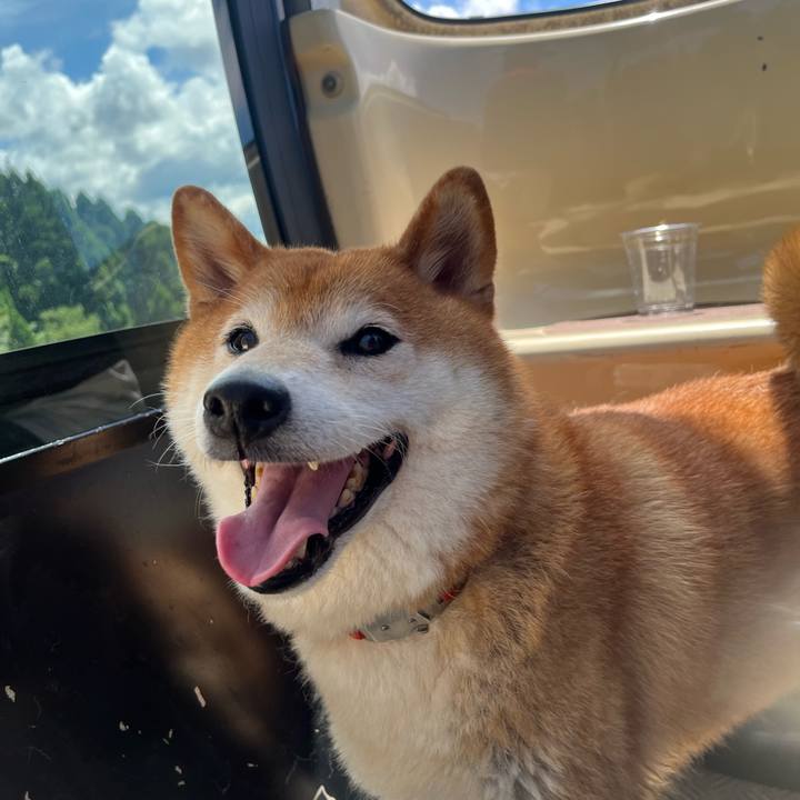 02b84d59 b56e 4029 a616 eeda43989e3b 1659265500480