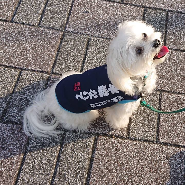 02b86041 a713 4451 849e 435c412e7123 1588581410387