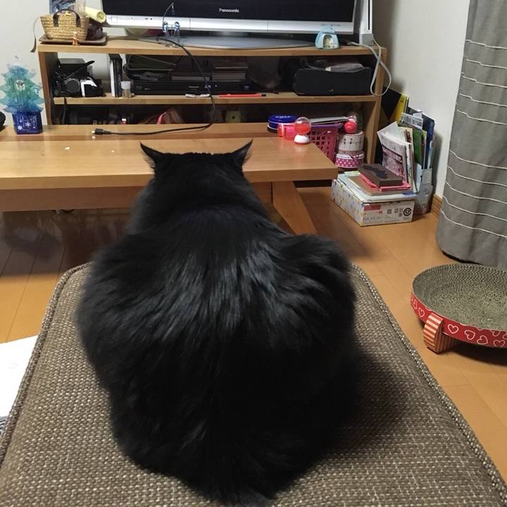 02b860b6 99a2 4b45 b5a8 e3a6216a8ac8 1546256436243