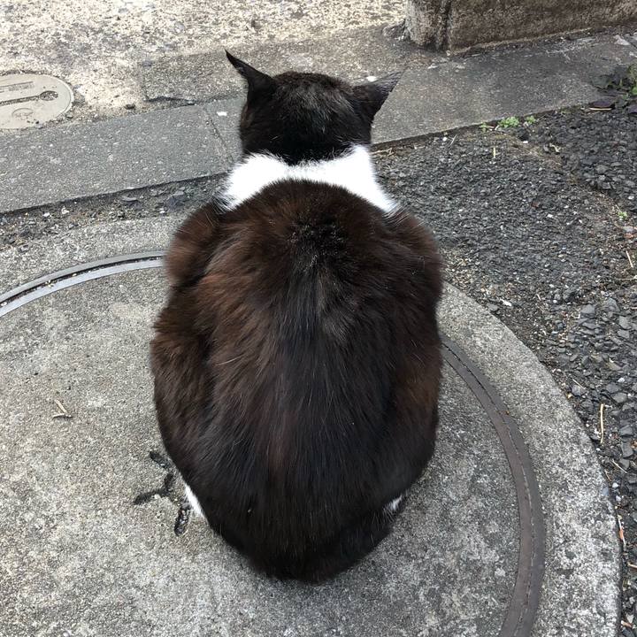 02b868d6 9e8b 49fa b916 c584bd414801 1519127752975