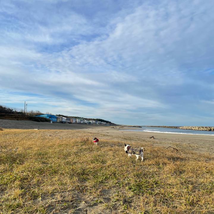 02b871be e71b 42bd 8c8d fb9527f1ab7d 1732060487080