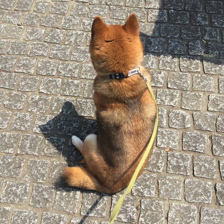 02b8c3e8 e0b3 4bdb 8f43 03ae29c128ad 1587106259665