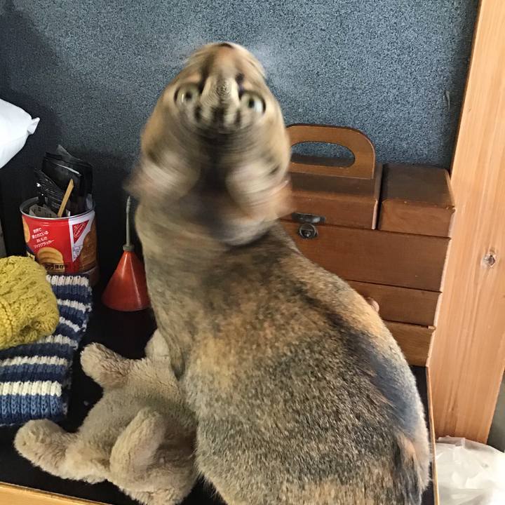 02b8cf7d 2acc 4aed 91ac c32edb35b86d 1578799371642