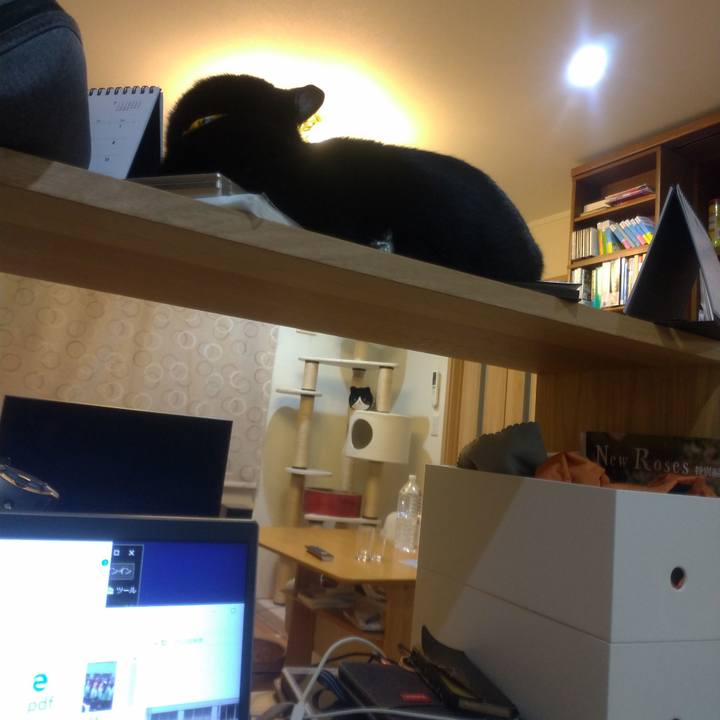 02b8e7c0 cd2b 45e5 b1bf 17d935ef743c 1560092744228