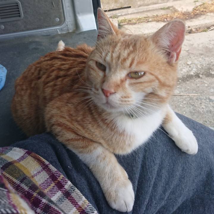 02b911ec ffd5 4144 82a9 4fbdd666c528 1585976360448