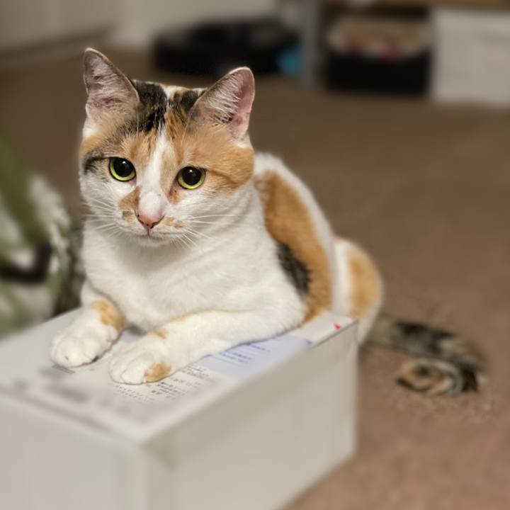 02b91bf7 dd49 481b b4e1 10861876b9a8 1661178077287