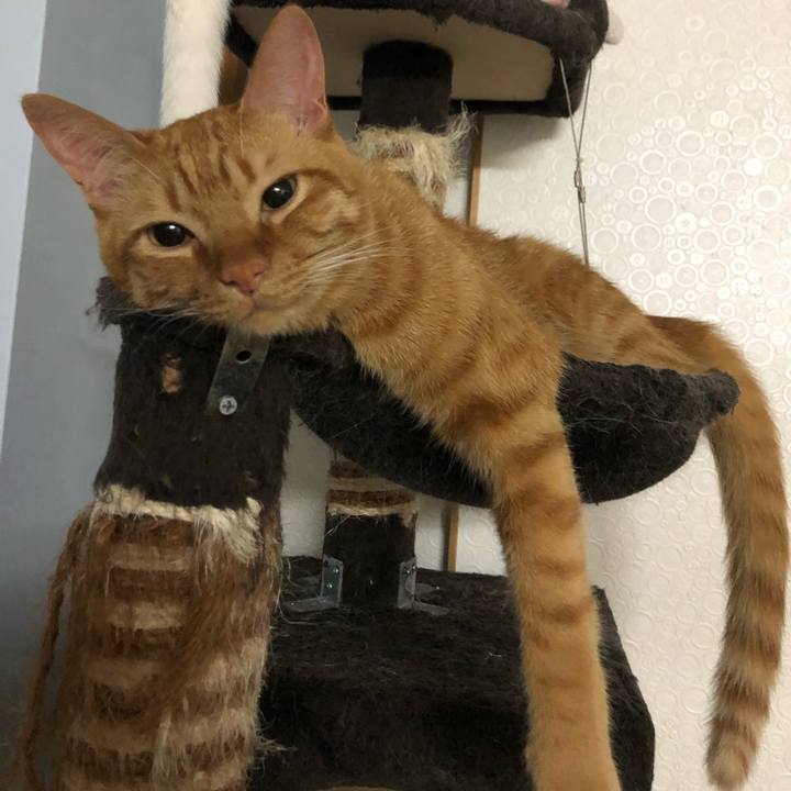 02b9255d 5716 43ac b1cb 60b88fb6fc39 1552806554176