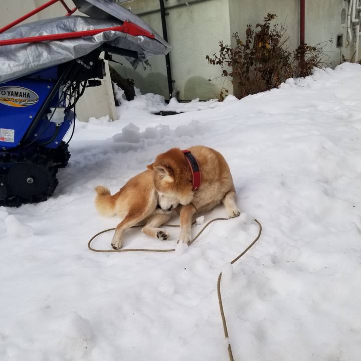 02b93885 7e94 4c04 a54e a4b57172ac6a 1739749255503