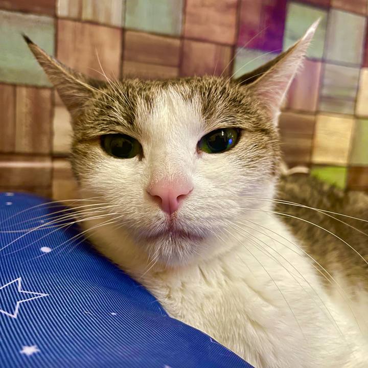 02b97790 b6c7 4724 b3b0 8dc77b895e9a 1639574511960