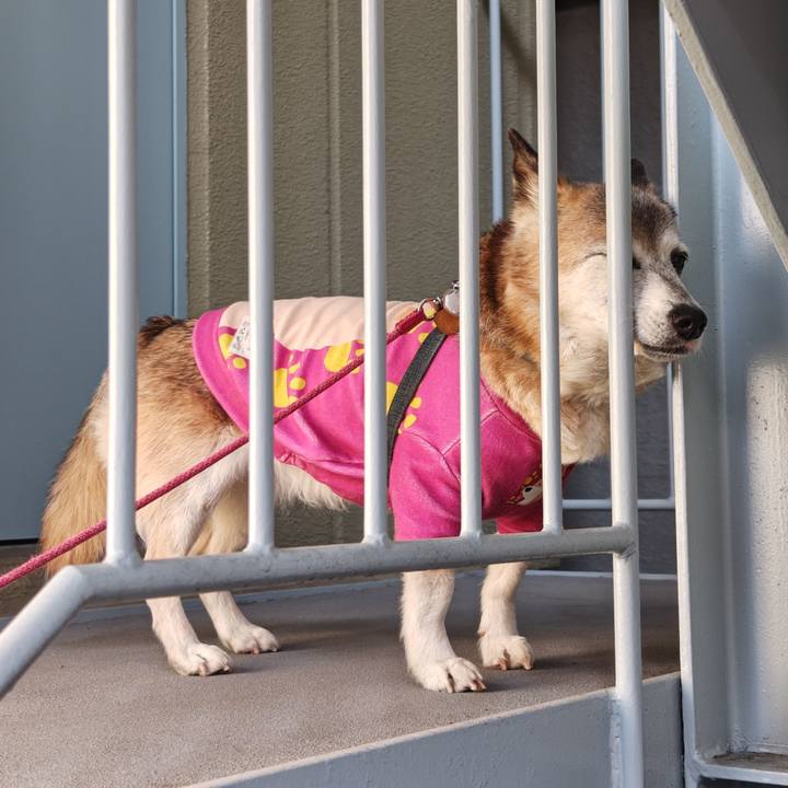 02b99387 53b1 4ed3 8d83 bb4ff2fdf370 1771422258636