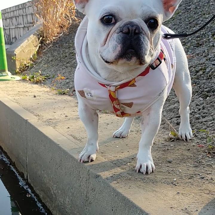 02b9b4f4 5eb7 4136 96d7 1378ec5fef7f 1637137080417