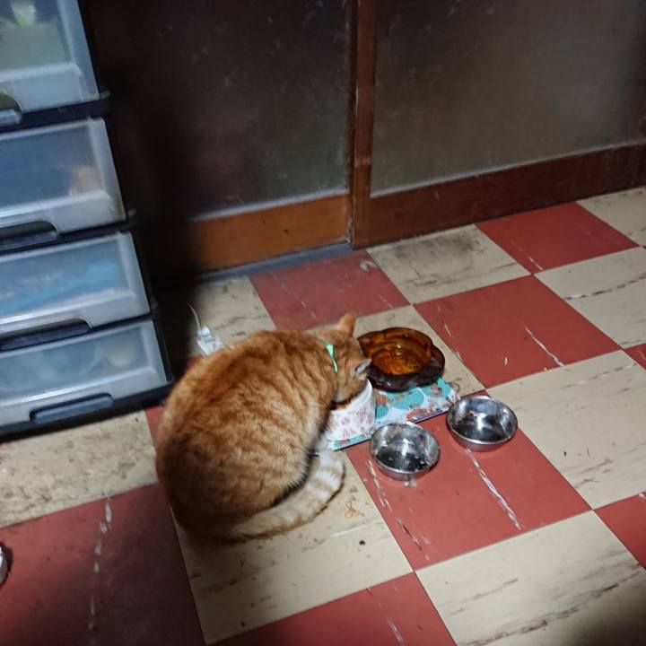 02b9b85f 8d82 4e1b 8e1e 8b631ea44314 1583700088076