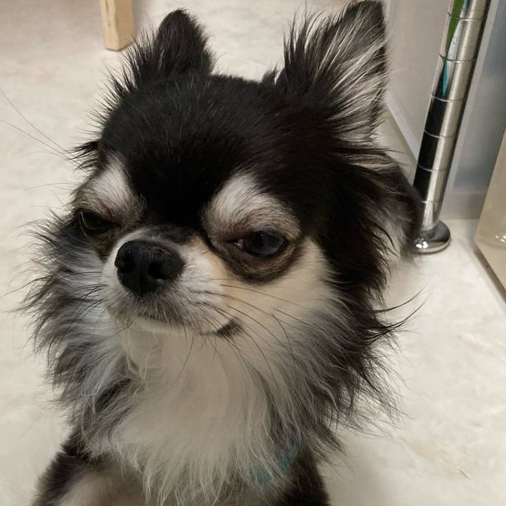 02b9cf89 2554 4e60 b624 f604e173ffd3 1656250916455