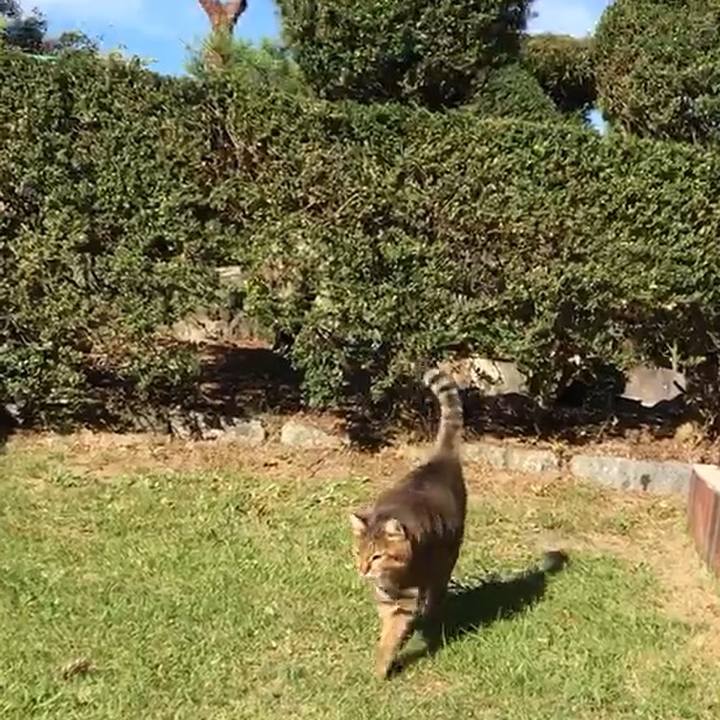 02b9d7be 6781 4421 99db 976a27e9a8b5 1758540155837