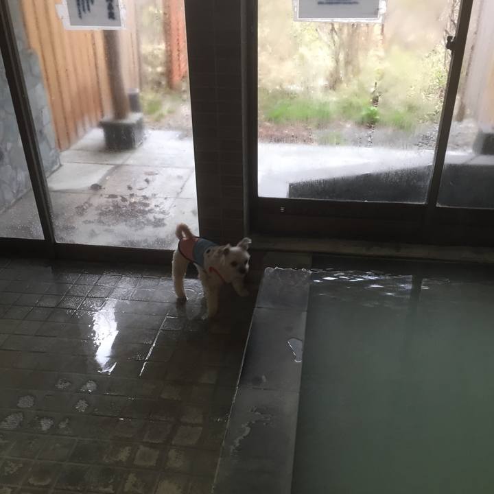 02b9db54 3714 4645 818c 3c88af280f9e 1556448325948