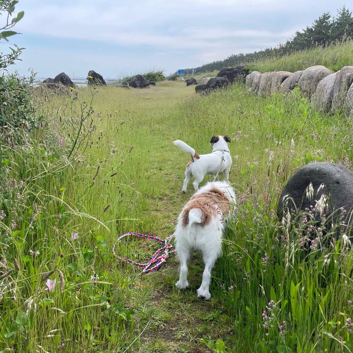 02ba31d7 14a8 4047 854c d48e12f74bcd 1717715464805