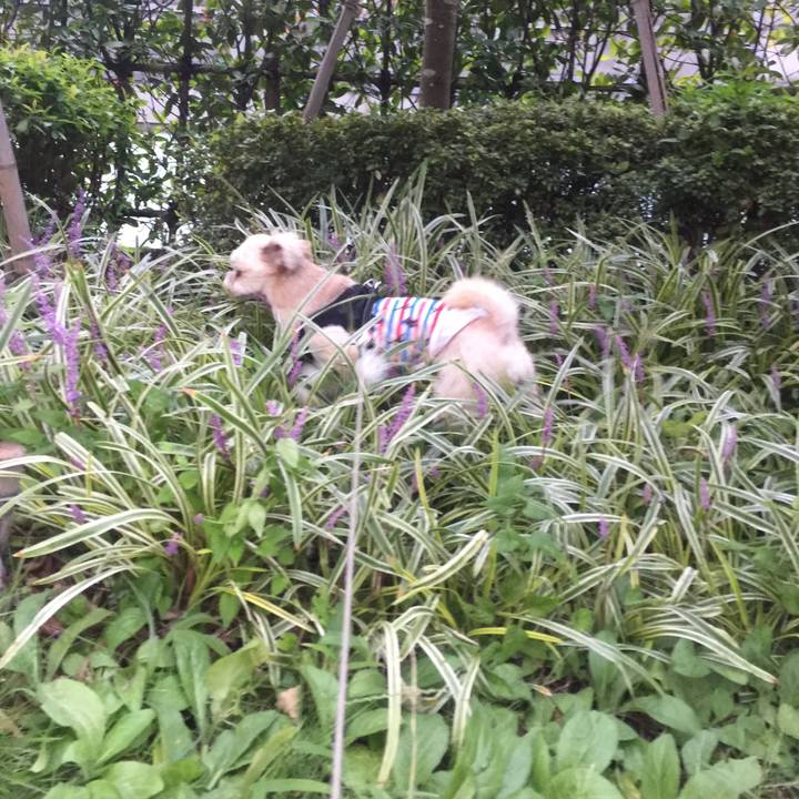 02ba36f5 22de 4ab9 bcf9 e12ca0b6e4b3 1536757601358