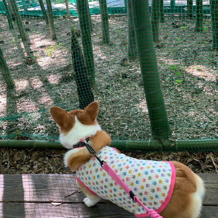 02ba7e1b ba93 4709 89ae 2b49242f21aa 1588834865062