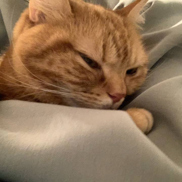 02ba8491 0ab1 41fa a49b b2f63588504b 1616904147060