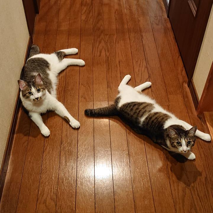 02bad94e 2109 48c8 bc0a ac758da0ed1f 1595381753237