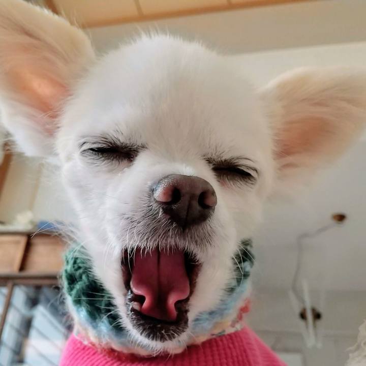 02bb2417 9e8e 4c85 9aca e7cf2c4b7020 1577998460276