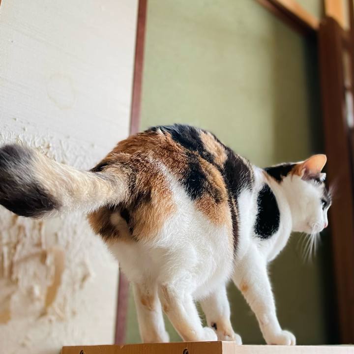 02bb42f5 596a 4544 b89a c7a76e2d236c 1646617270442