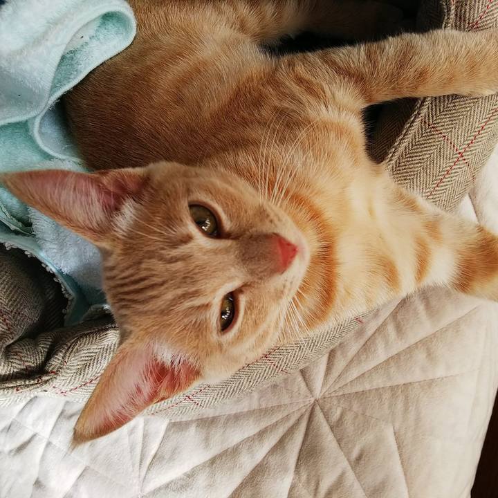 02bb56b8 4806 4bba b2fd 8eae97f4df6f 1542503477427