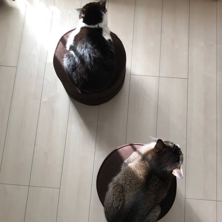 02bb6112 d5d7 4268 8678 c831772b673d 1583978337571