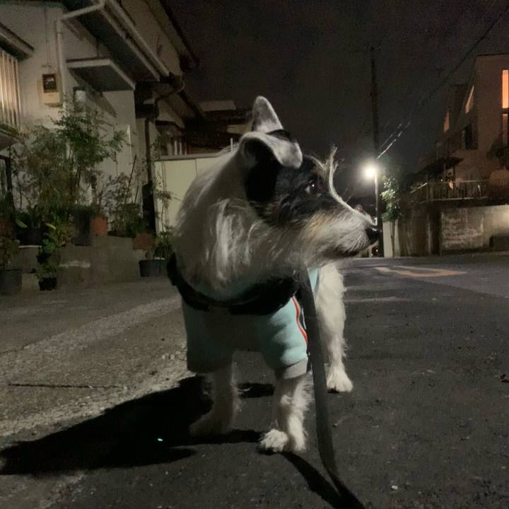 02bb8a1d b67a 4ec0 9035 022e9b6a3bdb 1732017317780