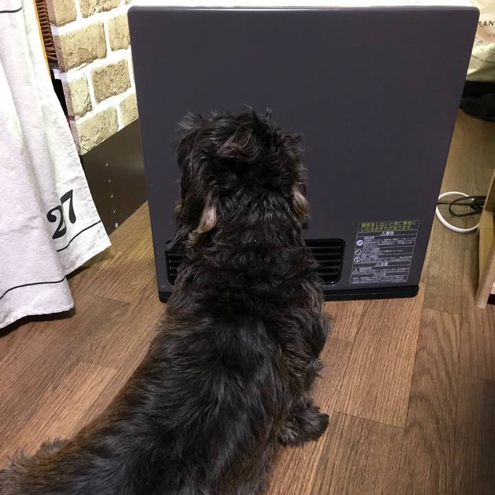 02bbf952 fa4f 4378 97fa bf4b8391af40 1510581242651