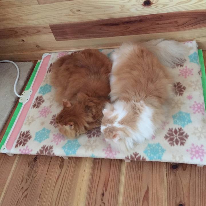 02bc0592 5aea 4966 8210 344132299f41 1578439108025