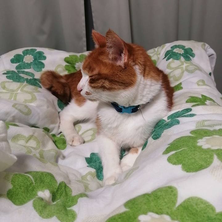 02bc1f01 aaa5 420f b6df 1dac8cfc48a1 1621088871421