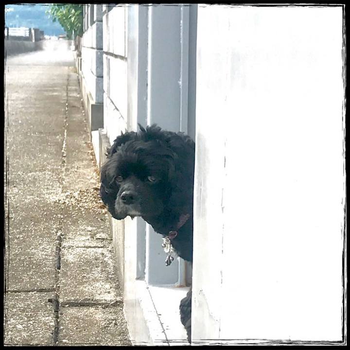 02bc4534 6cca 4e42 98e4 9a0a5a178e08 1528609023962